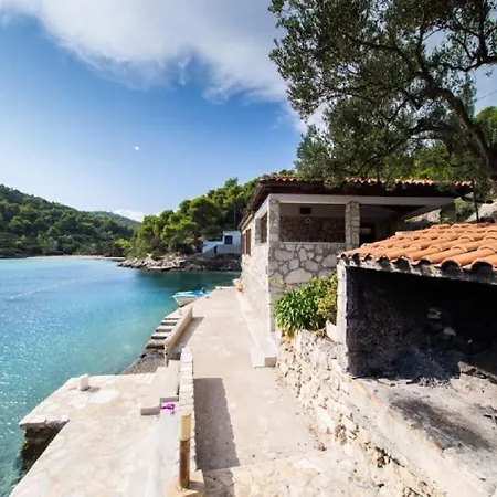 House Vinkli