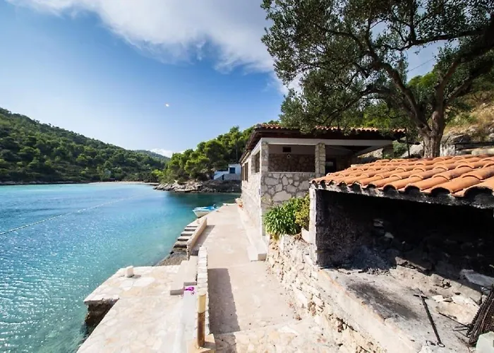 House Vinkli