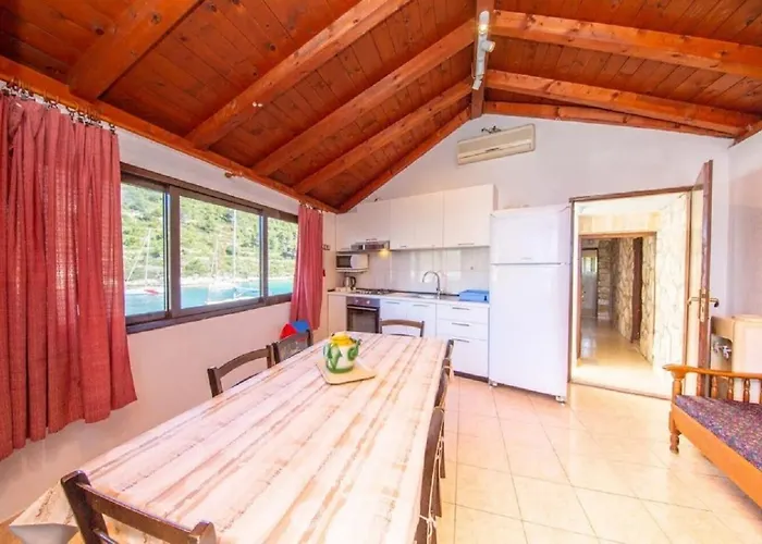 House Vinkli